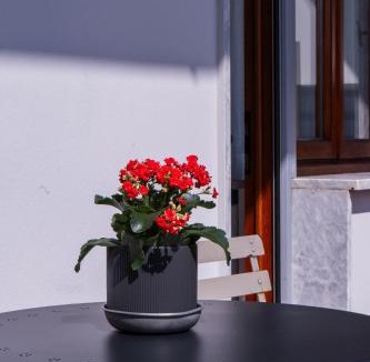 Fucecchio House | Lucignolo