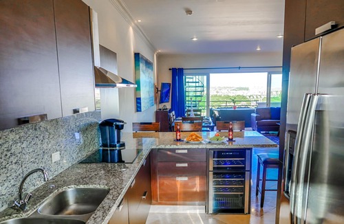 El Medano Ejidal Condo | Luxurious Ocean View Penthouse With Jacuzzi & Walking Distance to Beach & Marina