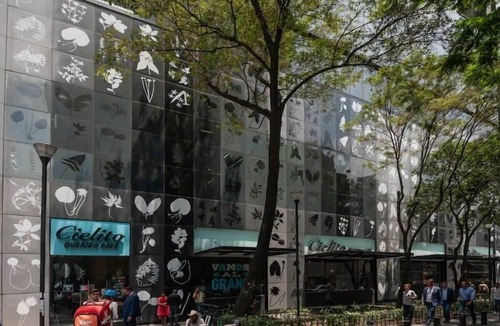 Zona Rosa Apartment | Magenta I Beautiful 1Bedroom located in Reforma Av