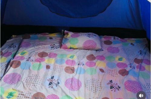 Bacocho Apartment | Mahue Rooms and Camping