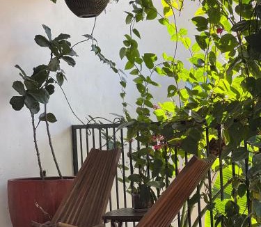 Rincon de Guayabitos Hotel | Maison Theurel