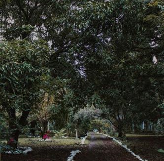 Actopan Municipality House | Mango Selva Bio Hotel