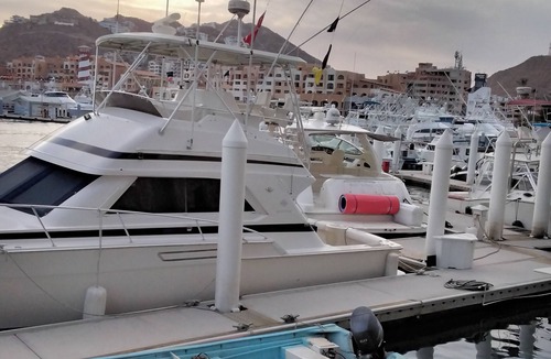 Centro Apartment | Marina Junior suite