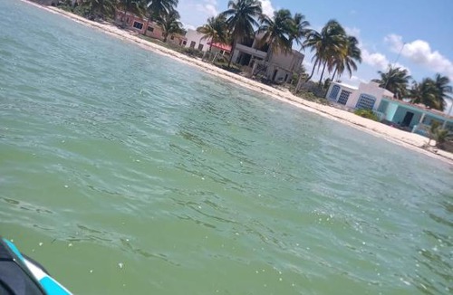 Chicxulub Puerto Apartment | Mayab Beach II