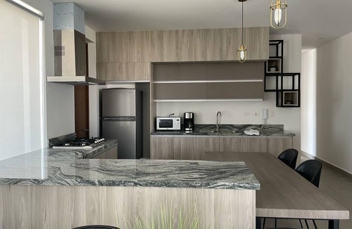 Aguascalientes Apartment | MODERN APARTMENT IN THE BEST AREA, IDEAL FOR ONE PERSON OR THE WHOLE FAMILY!