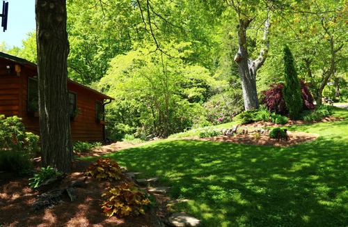 Candler Cabin | Mountain Getaway For Couples! 17 miles to Asheville, Pet Friendly, Hot Tub