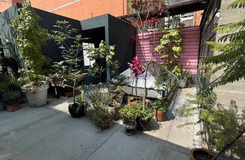Escandon House | Mr. W | Oasis in the City | 3BR