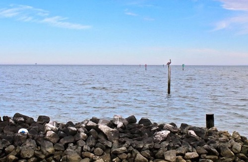Fort Morgan Condo | Navy Cove Harbor 1203-It's the Locals Favorite time of Year! Find Out Why ~Book Now