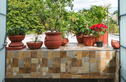 Centro Apartment | New! Apt. w/mini terrace, Netflix, wine cooler, etc. .9 mi. from central sq.