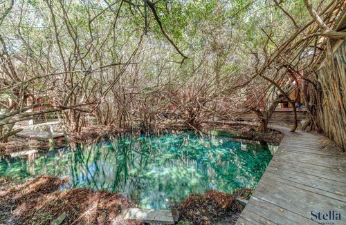 Zona Hotelera Apartment | NEW! Jungle Stay, Pool and 2 Cenotes, Beach 200m