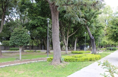 Zona Expo Apartment | Newly remodeled apartment Zona Expo GDL