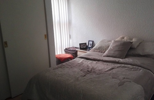 Coyoacan Apartment | Nice Apartment south of Mexico Ci