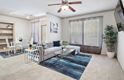 Astrodome Apartment | ★Nice King Bed Stay in NRG|TMC|UH |Houston,TX★