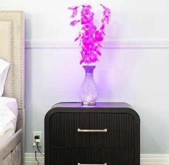 Roxbury Apartment | Nightingale In Boston