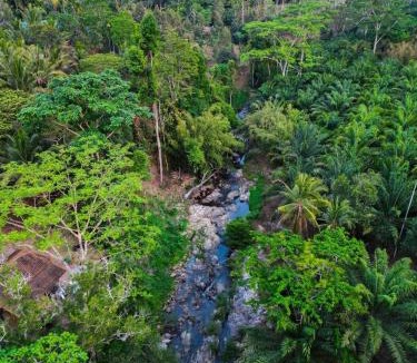K. Wipawadi House | Oasis forest garden
