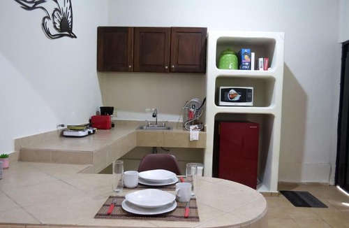 San Francisco Apartment | Oliva's Tiny House