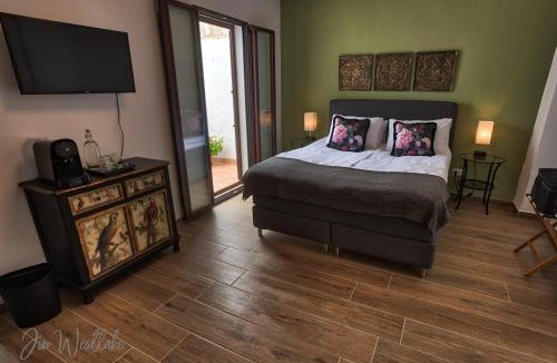 Olvera Bed & Breakfast | Olive Tree Guest House