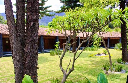 Santo Domingo Hotel | Orgánico Hotel Boutique TEPOZTLÁN