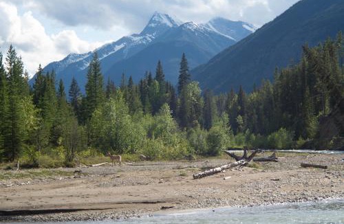Panorama Apartment | Panorama Vacation Retreat at Horsethief Lodge