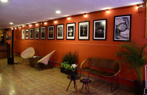 Churubusco Apartment | Peaceful Guesthouse | Private Room in Coyoacán 38