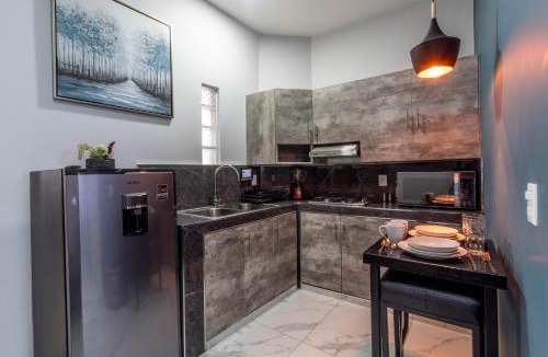 Zapotlanejo Apartment | Pequeño espacio, gran lujo en Zapotlanejo Suite 304