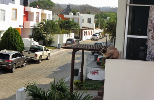 Bucerias House | Pet Friendly Vacation Home in Bucerias, Mexico