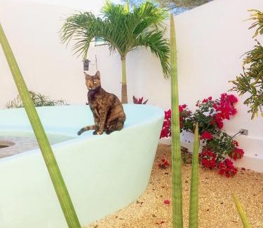 Celestun House | Playa 55 beach escape - adults only Guesthouse