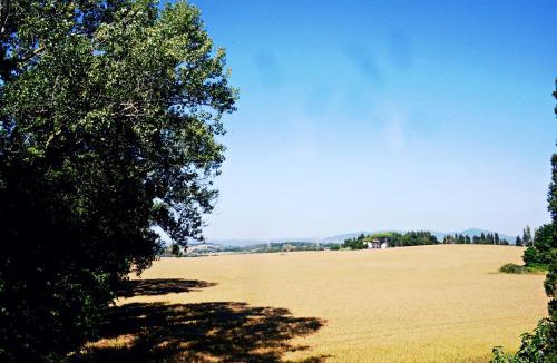 Rosignano Marittimo Bed & Breakfast | Podere La Pace