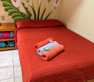 Xilitla House | Posada guitos