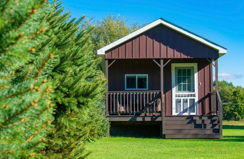 Cherry Creek House | Private pool, barn game room, cozy Tiny house.