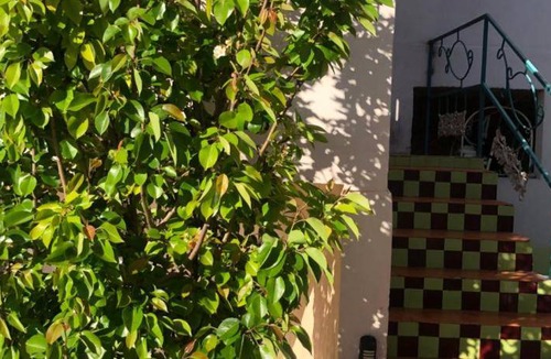 Cerocahui Resort | Private room ∙ 2 guests