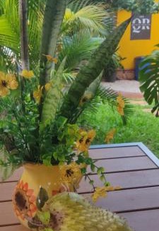 Ticul Bed & Breakfast | Quinta Rosita