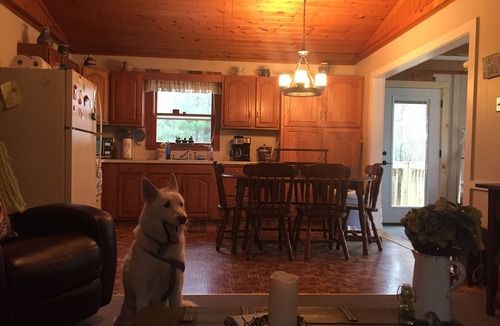Lake Cottage | Red Roof Hilltop Cottage Overlooking Lake W/Extra Bunkhouse And Pet Friendly!