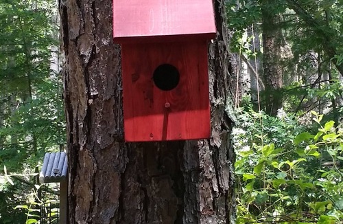 Blairsville House | Redbird Retreat - pet friendly