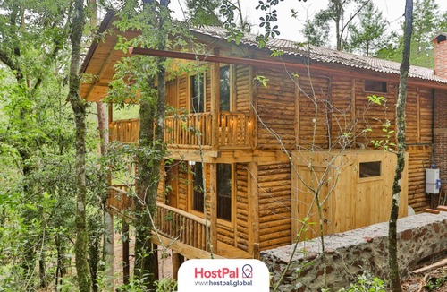 Acaxochitlan Apartment | Refugio encantado | Tirolesa & Bicicletas | Bosque