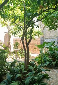 Medina Bed & Breakfast | Riad Dar Zaida