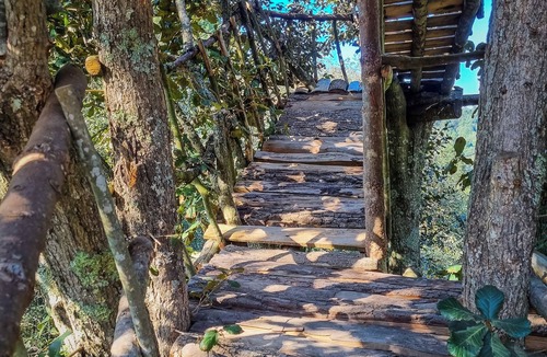 Mineral del Chico Cabin | Romantic treehouse with forest view and extensive green areas