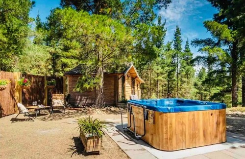 Alexandra Cabin | Rustic Cabin With hot tub at Homewood Forest Retreat