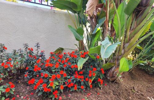 Elviria Apartment | Santa Maria Greenhills