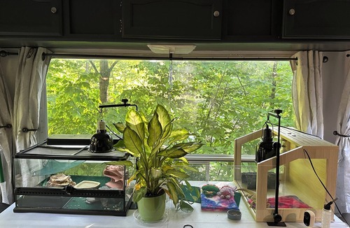 Stafford House | Serenity meets Taradise
