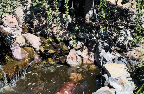 Grass Valley House | SkyView Camper unwind in a natural setting minutes from downtown NC and the Yuba