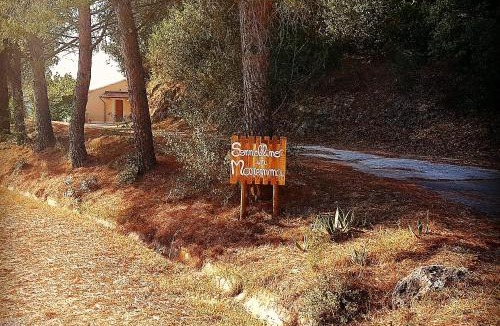 Massa Marittima House | Sonnellino in Maremma