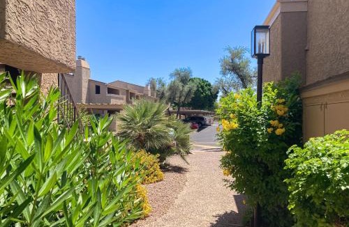 South Scottsdale Apartment | Sonoran Starlight