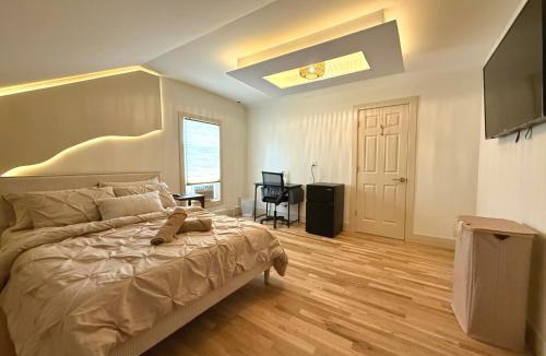 The Hill Apartment | Spring Rooms by Yale & Downtown