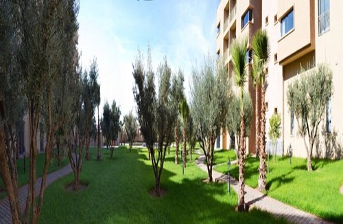 Daoudiate Apartment | Studio Hotel - Studio 3