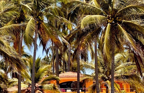 Zacualpan House | Stunning ocean front villa on a 9-mile protected turtle reserve beach