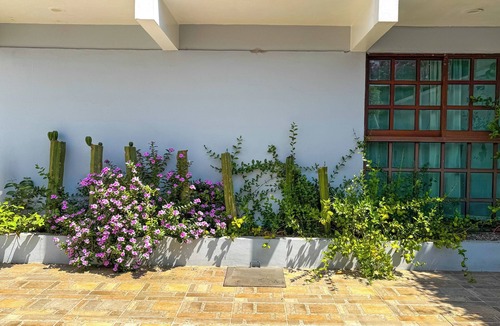 Reforma House | Stylish family boutique house, 10 minutes from downtown Oaxaca.