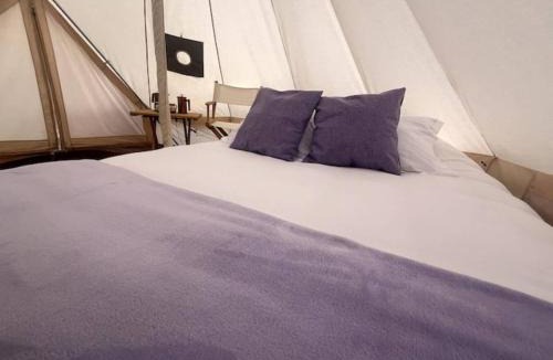 Texcoco de Mora Other | Sueño de Lavanda en Glamping Rincón de Lavanda
