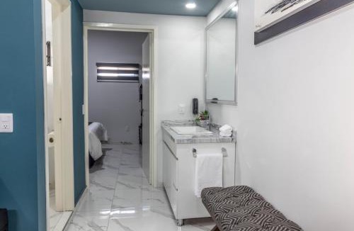 Zapotlanejo Apartment | Suite premium en el centro de Zapotlanejo 305