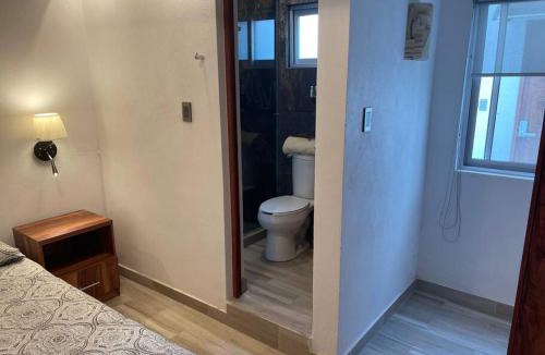 Coyoacan Apartment | Suites C O V A D O N G A